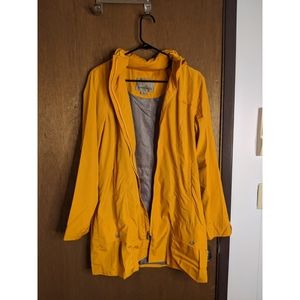 Rainforest Yellow Jacket